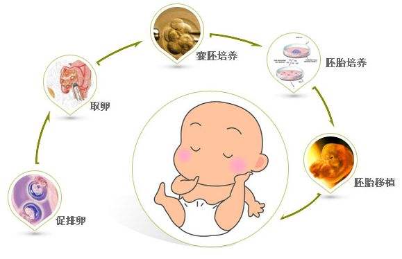 重庆高薪捐卵招募流程电话